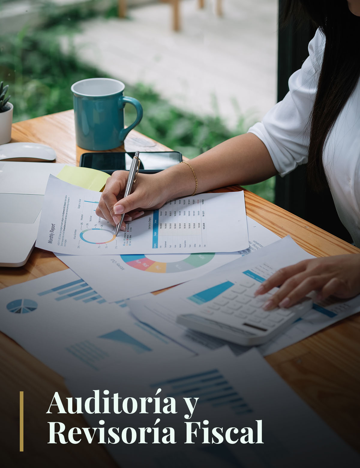 Auditoría y Revisoría Fiscal